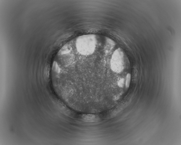 X0000112020230200909141042