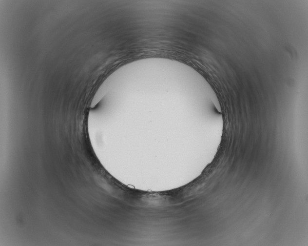 X0000112020231200909141042