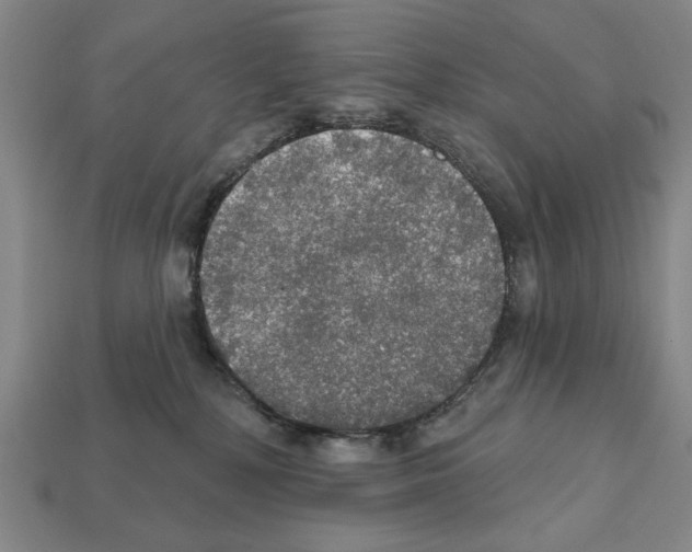 X0000112020232200909141042