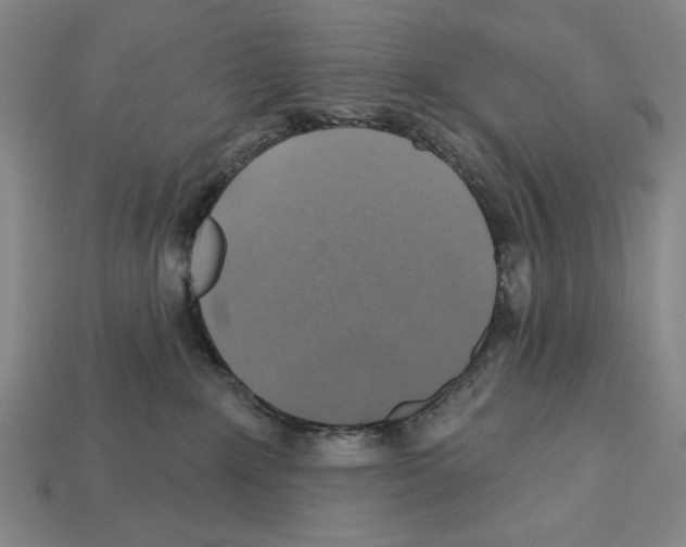 X0000112020235200909141042