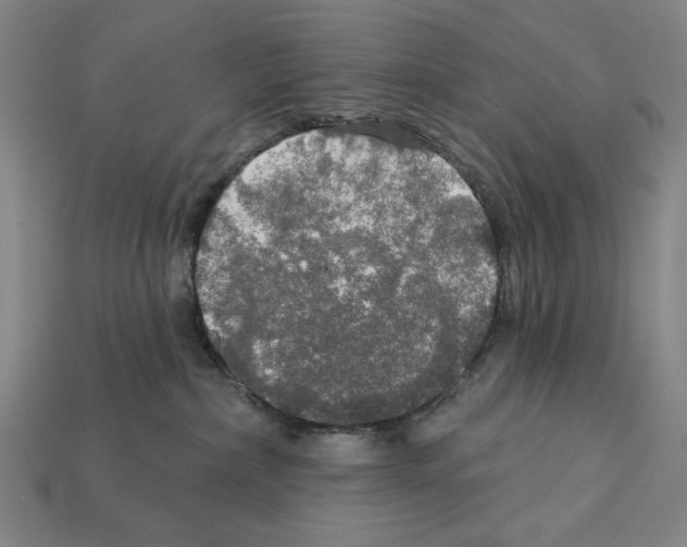 X0000112020236200909141042