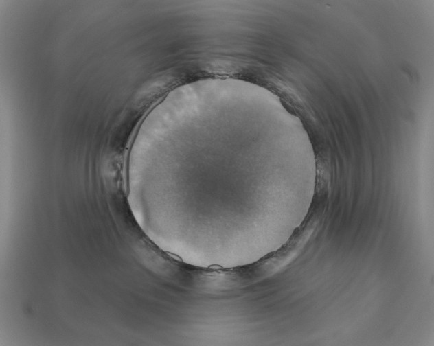 X0000112020237200909141042