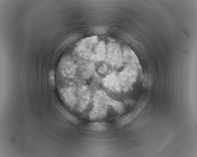 X0000112020238200909141042