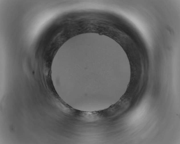 X0000112020239200909141042