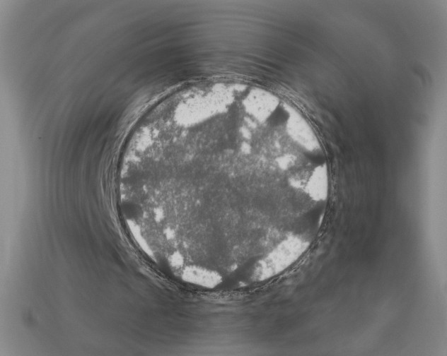 X0000112020241200909141041