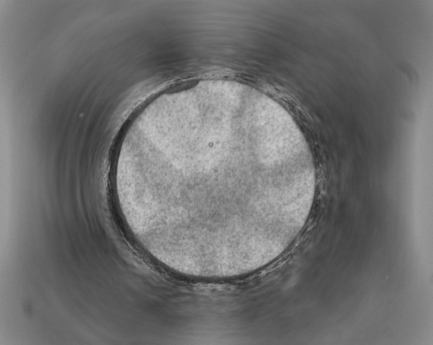 X0000112020242200909141041