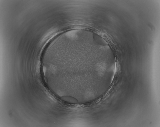 X0000112020243200909141041