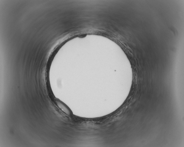 X0000112020244200909141041