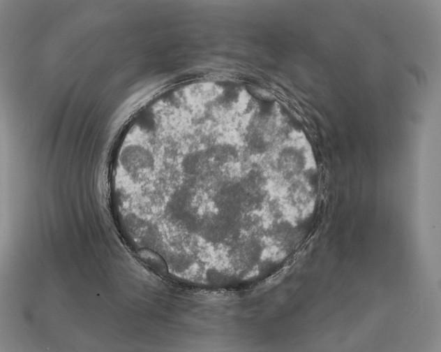 X0000112020245200909141041