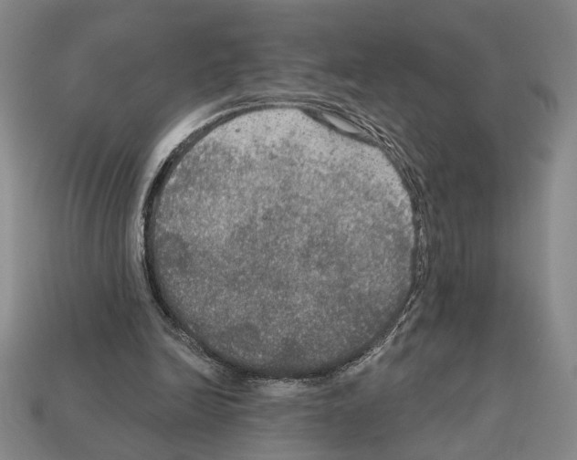 X0000112020246200909141041