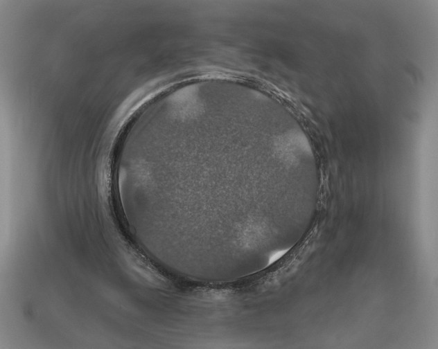 X0000112020247200909141041