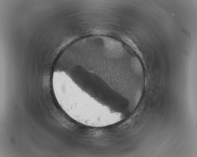 X0000112020249200909141041