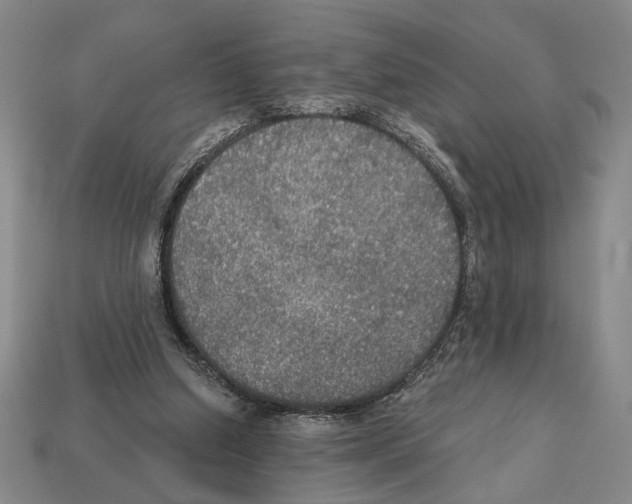 X0000112020250200909141041