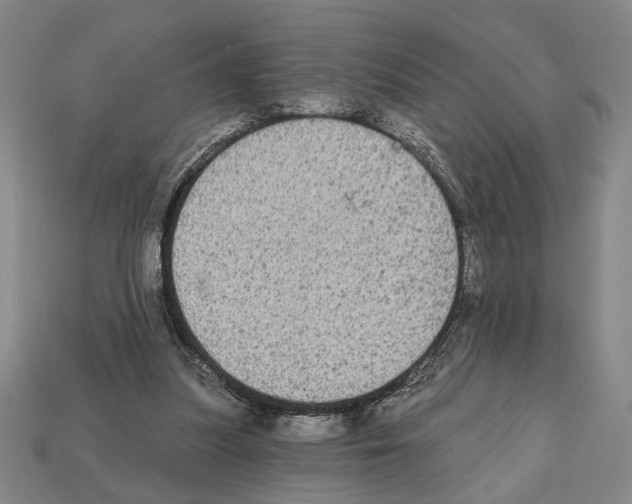 X0000112020251200909141041