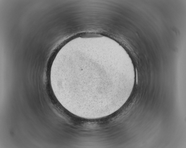 X0000112020252200909141041