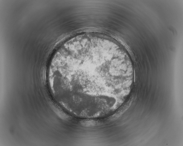 X0000112020253200909141041