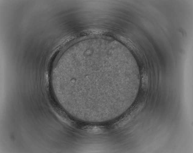 X0000112020254200909141041