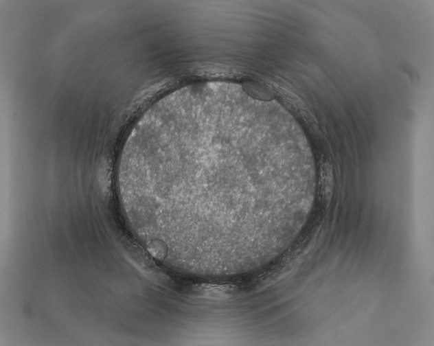 X0000112020255200909141041