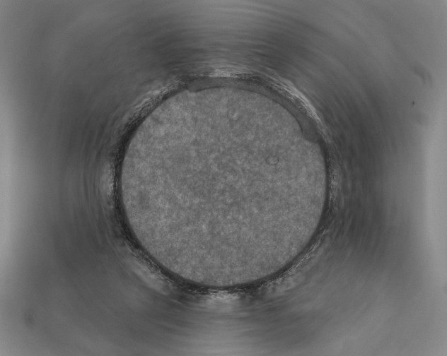 X0000112020257200909141041