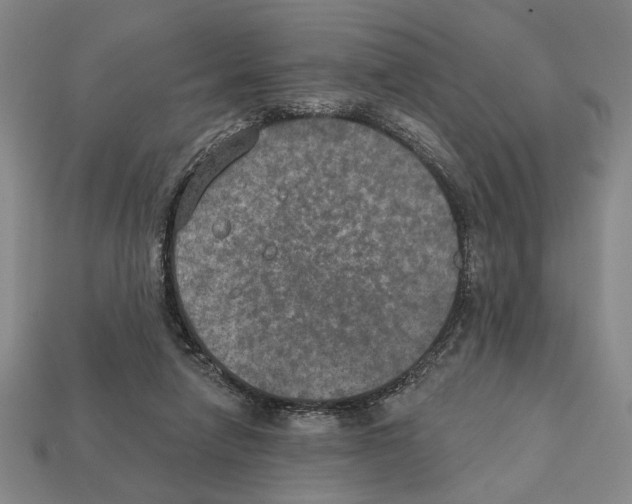 X0000112020258200909141041