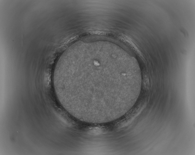 X0000112020259200909141041