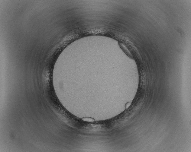 X0000112020260200909141041