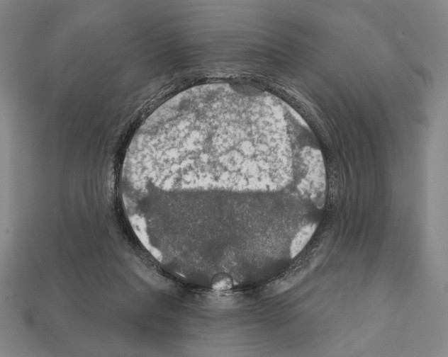 X0000112020261200909141042