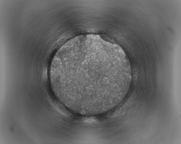 X0000112020262200909141042