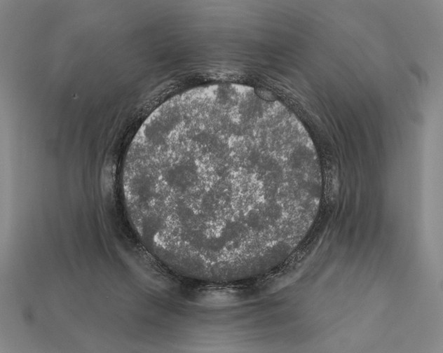 X0000112020263200909141042