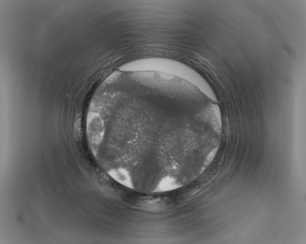 X0000112020267200909141042