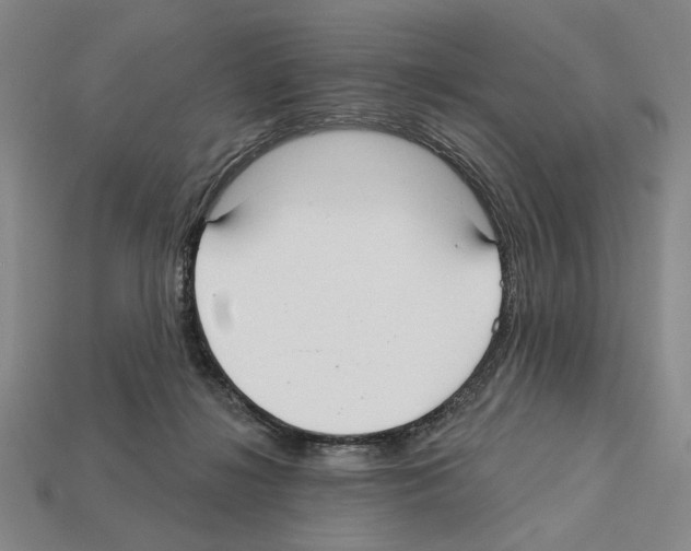 X0000112020268200909141042