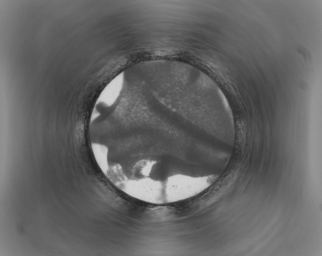 X0000112020269200909141042