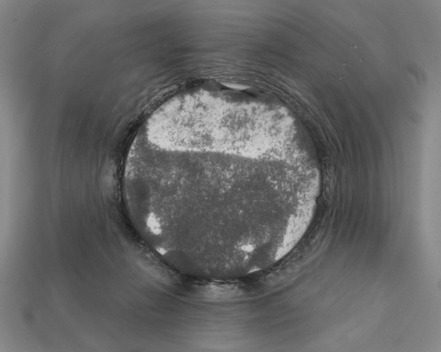 X0000112020270200909141042