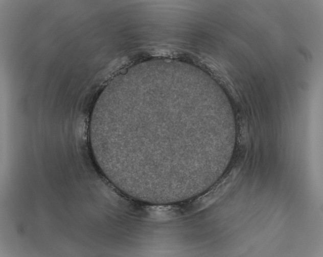 X0000112020273200909141042