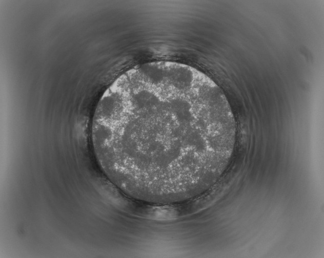 X0000112020275200909141042