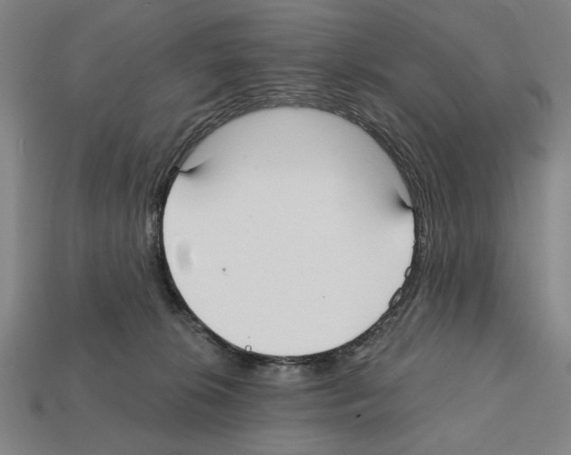 X0000112020276200909141042