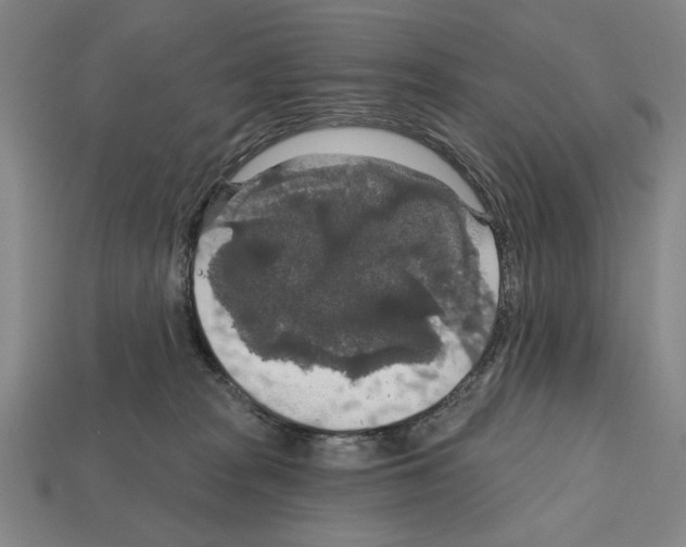 X0000112020277200909141042