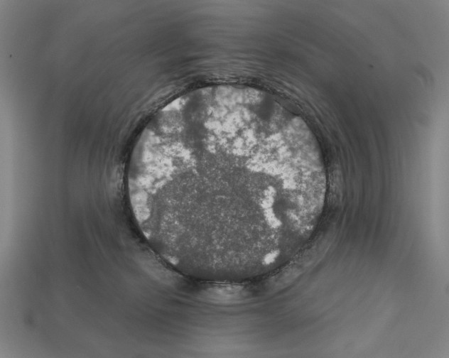 X0000112020278200909141042