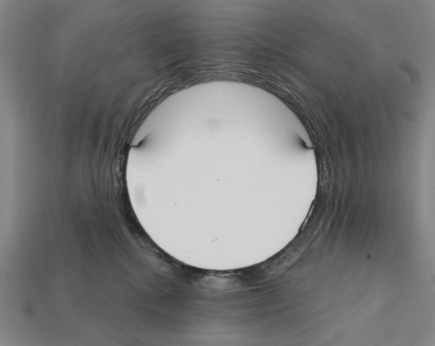 X0000112020280200909141042