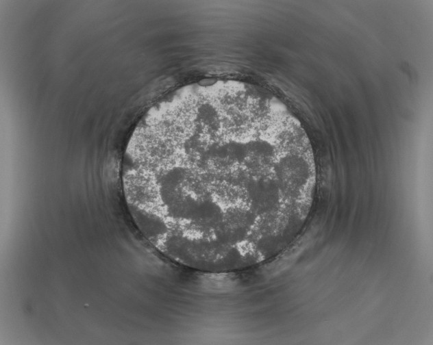 X0000112020281200909141042