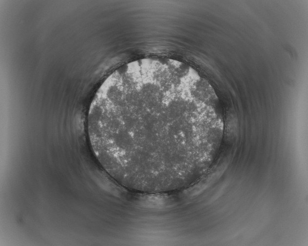 X0000112020282200909141042