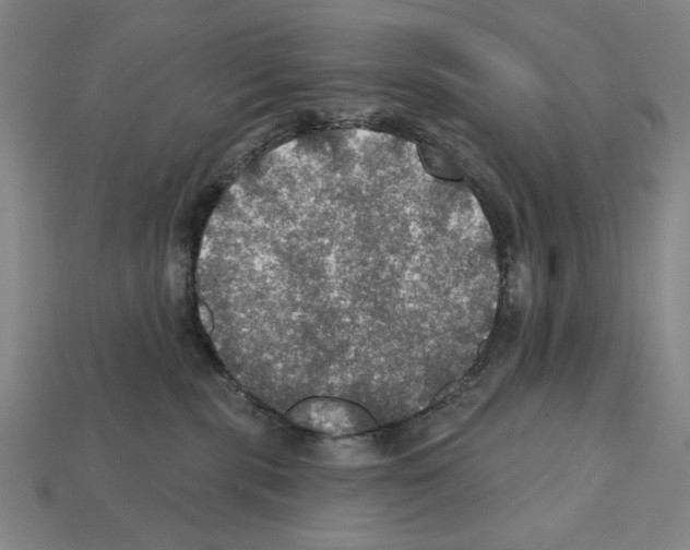 X0000112020283200909141042