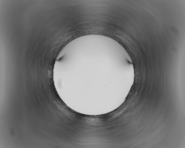 X0000112020284200909141042