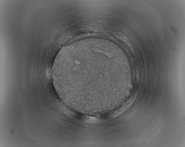 X0000112020285200909141042