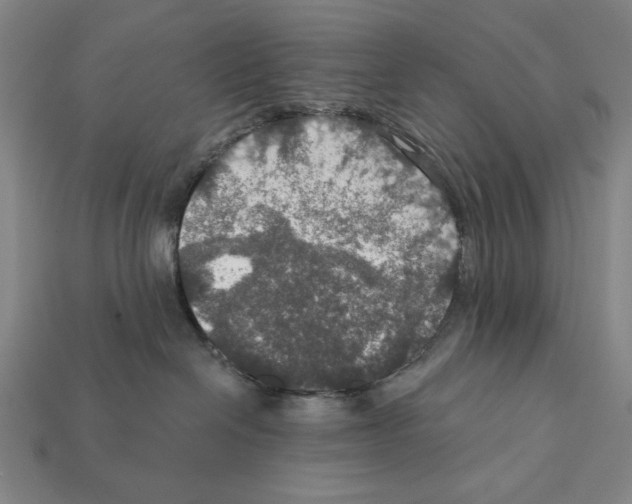 X0000112020286200909141042