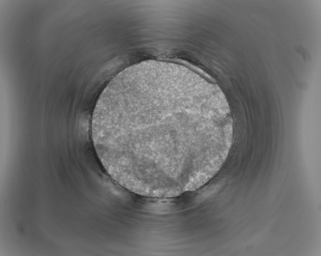 X0000112020288200909141042