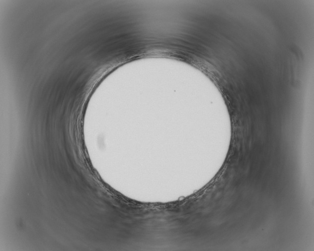 X0000112020289200909141041