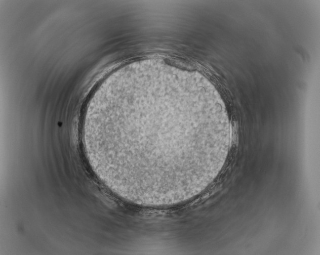 X0000112020291200909141041