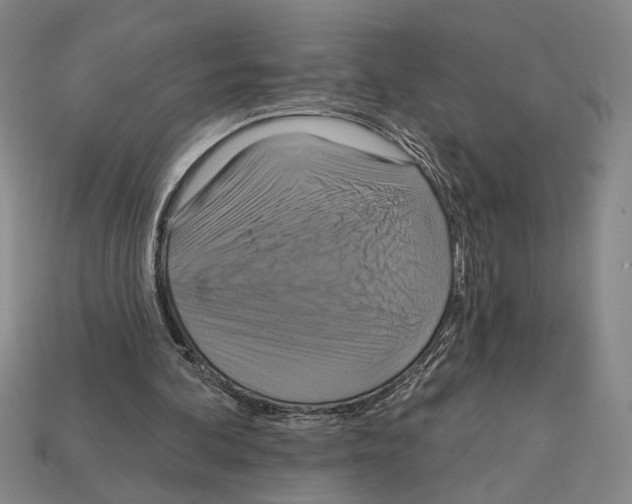 X0000112020292200909141041