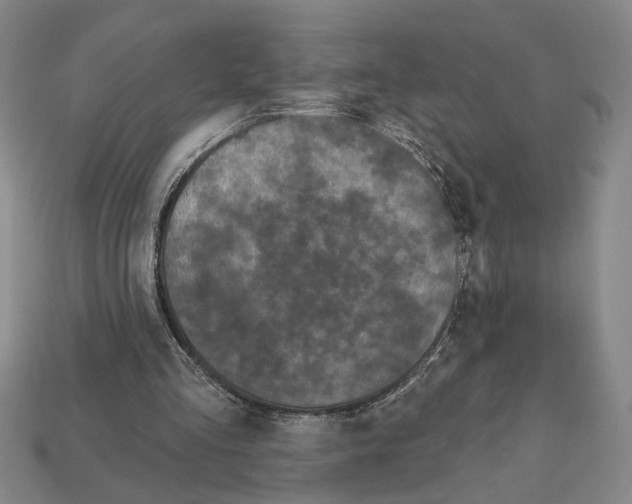 X0000112020293200909141041